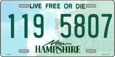 NH license plate 1195807