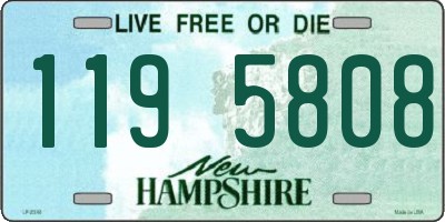 NH license plate 1195808