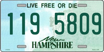 NH license plate 1195809