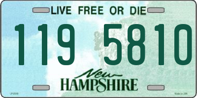 NH license plate 1195810