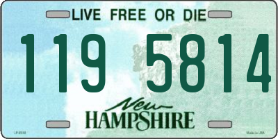 NH license plate 1195814