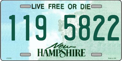 NH license plate 1195822