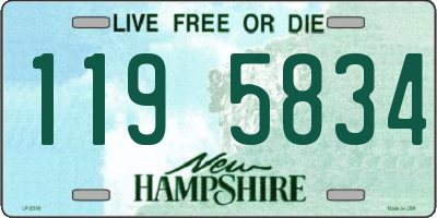 NH license plate 1195834