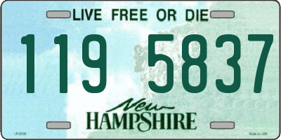 NH license plate 1195837