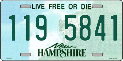 NH license plate 1195841