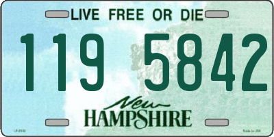 NH license plate 1195842