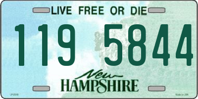 NH license plate 1195844