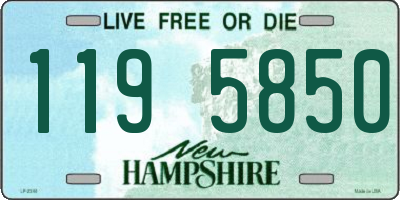 NH license plate 1195850