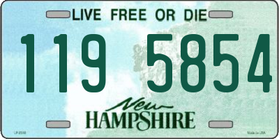 NH license plate 1195854