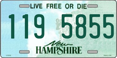 NH license plate 1195855