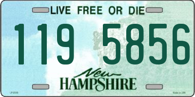 NH license plate 1195856