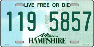 NH license plate 1195857