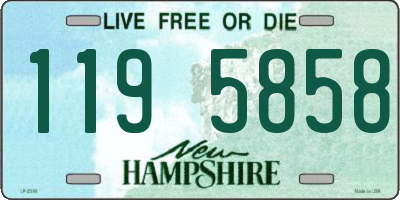 NH license plate 1195858