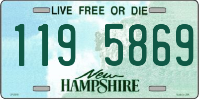 NH license plate 1195869