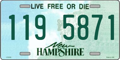 NH license plate 1195871