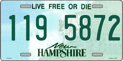 NH license plate 1195872