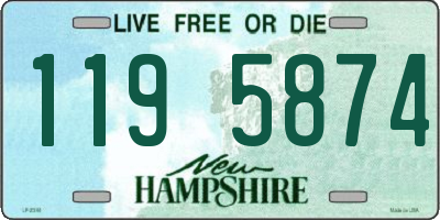 NH license plate 1195874
