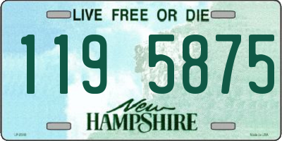 NH license plate 1195875