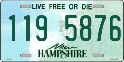 NH license plate 1195876