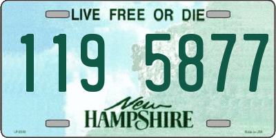 NH license plate 1195877
