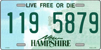 NH license plate 1195879