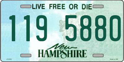 NH license plate 1195880
