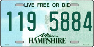 NH license plate 1195884