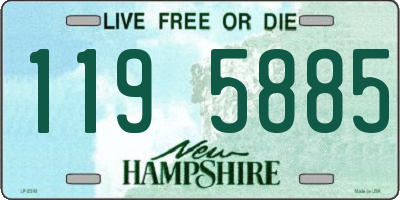 NH license plate 1195885