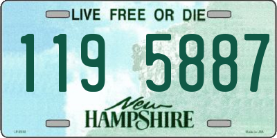 NH license plate 1195887