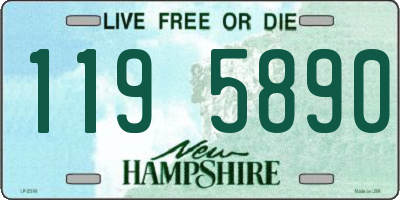 NH license plate 1195890