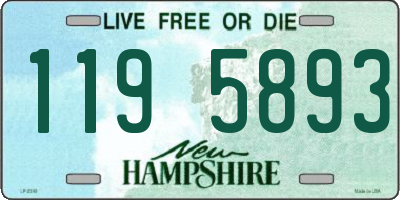 NH license plate 1195893
