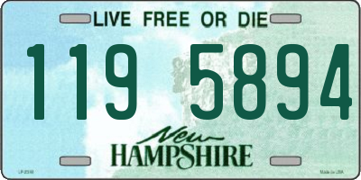 NH license plate 1195894