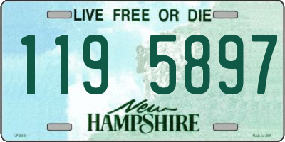 NH license plate 1195897