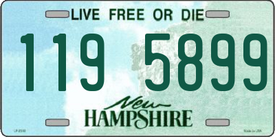 NH license plate 1195899