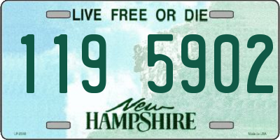 NH license plate 1195902