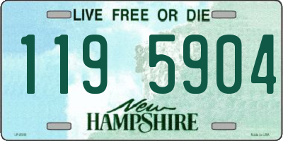 NH license plate 1195904