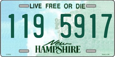 NH license plate 1195917