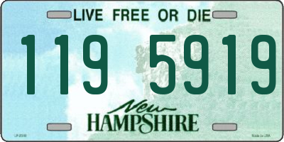 NH license plate 1195919