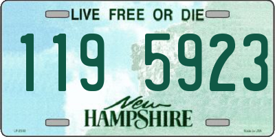 NH license plate 1195923