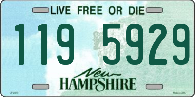 NH license plate 1195929
