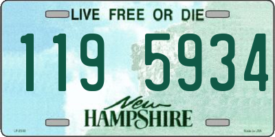 NH license plate 1195934