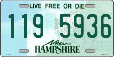 NH license plate 1195936