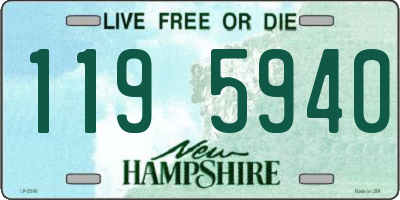 NH license plate 1195940