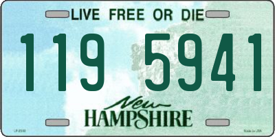 NH license plate 1195941