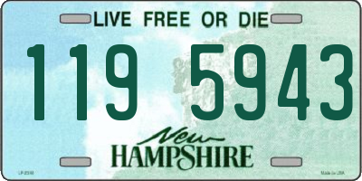 NH license plate 1195943