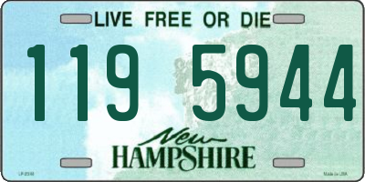 NH license plate 1195944