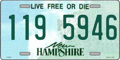 NH license plate 1195946