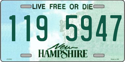 NH license plate 1195947