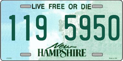 NH license plate 1195950