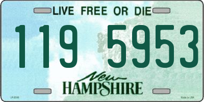 NH license plate 1195953
